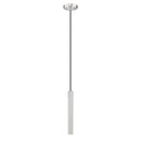 Z-Lite 12" High Forest 1 LightPendant image 2
