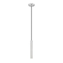 Z-Lite 12" High Forest 1 LightPendant image