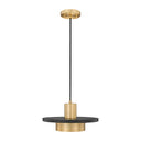 Z-Lite 12" Ludo 1 Light Pendant image 7