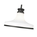 Z-Lite 12" Reznor 1 Light Pendant image 10