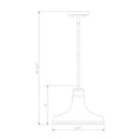 Z-Lite 12" Reznor 1 Light Pendant image 21