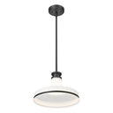Z-Lite 12" Reznor 1 Light Pendant image 4