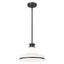 Z-Lite 12" Reznor 1 Light Pendant image 7