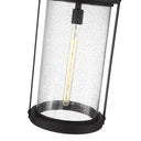 Z-Lite 12" Roundhouse 1 Light Outdoor Chain Mount Ceiling Fixture image 3