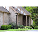 Z-Lite 122" High Rainer 5 Light Outdoor Post Mounted Fixture image 6