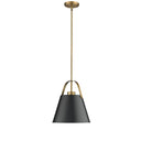 Z-Lite 13.75" High Z-Studio 1 Light Pendant image 9