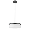 Z-Lite 13" Renaud 1 Light Pendant image 8