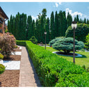 Z-Lite 14.25" Davina 4 Light Outdoor Post Mounted Fixture image 4
