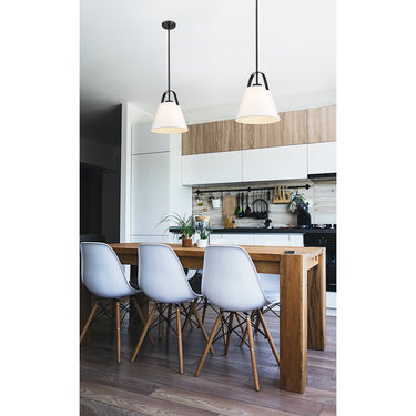 Z-Lite 14" High Z-Studio 1 Light Pendant image 20