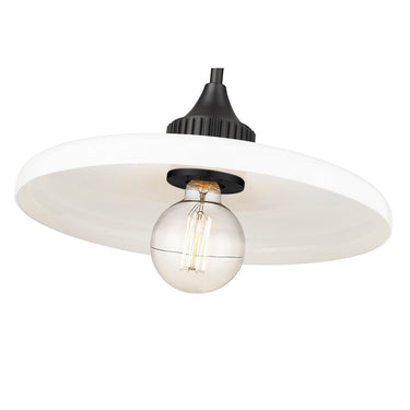 Z-Lite 14" Paloma 1 Light Pendant image 10
