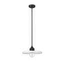 Z-Lite 14" Paloma 1 Light Pendant image 13