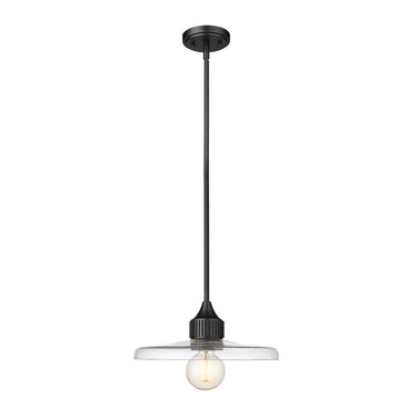 Z-Lite 14" Paloma Clear 1 Light Pendant image 1