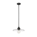 Z-Lite 14" Paloma Clear 1 Light Pendant image 13