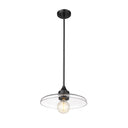 Z-Lite 14" Paloma Clear 1 Light Pendant image 4