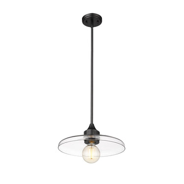 Z-Lite 14" Paloma Clear 1 Light Pendant image 4
