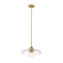 Z-Lite 14" Paloma Clear 1 Light Pendant image 5