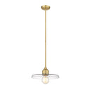 Z-Lite 14" Paloma Clear 1 Light Pendant image 8