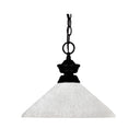 Z-Lite 14" Shark 1 Light Pendant image