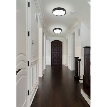 Z-Lite 16.75" Stari 1 Light Flush Mount image 16