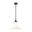 Z-Lite 16" Fleur 1 Light Pendant image 1