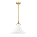 Z-Lite 16" Fleur 1 Light Pendant image 14