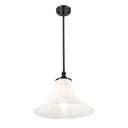 Z-Lite 16" Fleur 1 Light Pendant image 4