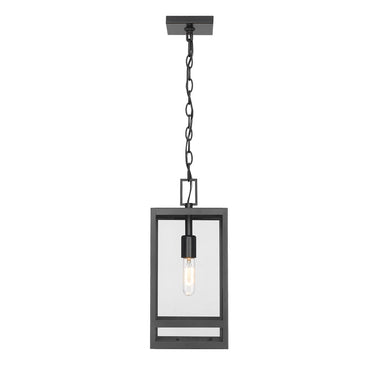 Z-Lite 16" High Nuri 1 Light Outdoor Chain Mount Ceiling Fixture image 1