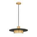 Z-Lite 16" Ludo 1 Light Pendant image 1