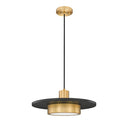 Z-Lite 16" Ludo 1 Light Pendant image 13