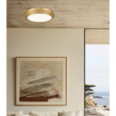 Z-Lite 16" Quasars 1 Light Flush Mount image 22