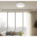 Z-Lite 16" Quasars 1 Light Flush Mount image 27