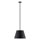 Z-Lite 18" Lilly 1 Light Pendant image 1