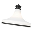 Z-Lite 18" Reznor 1 Light Pendant image 10