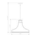 Z-Lite 18" Reznor 1 Light Pendant image 21