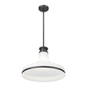 Z-Lite 18" Reznor 1 Light Pendant image 4