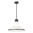 Z-Lite 18" Reznor 1 Light Pendant image 7
