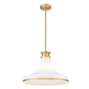 Z-Lite 18" Reznor 1 Light Pendant image 8