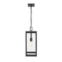 Z-Lite 19.75" High Nuri 1 Light Outdoor Chain Mount Ceiling Fixture image 1