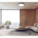 Z-Lite 20.5" Madison 1 Light Flush Mount image 16