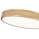 Z-Lite 20.75" Stari 1 Light Flush Mount image 11