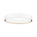 Z-Lite 20" Kawan 1 Light Flush Mount image 24
