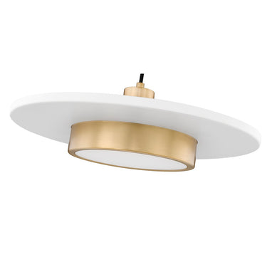Z-Lite 20" Ludo 1 Light Pendant image 11