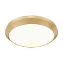 Z-Lite 20" Quasars 1 Light Flush Mount image 10