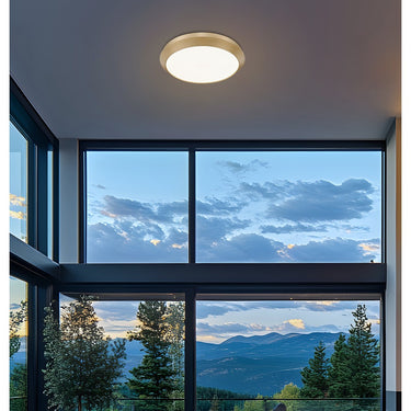 Z-Lite 20" Quasars 1 Light Flush Mount image 22