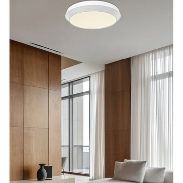 Z-Lite 20" Quasars 1 Light Flush Mount image 23