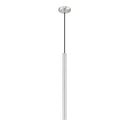 Z-Lite 23.75" High Forest 1 LightPendant image