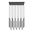 Z-Lite 23.75" High Forest 17 Light Linear Chandelier image 7
