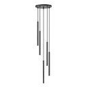 Z-Lite 23.75" High Forest 5 Light Chandelier image 7