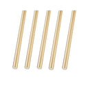 Z-Lite 23.75" High Forest 5 Light Linear Chandelier image 11