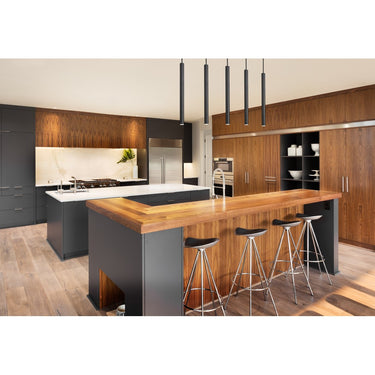 Z-Lite 23.75" High Forest 5 Light Linear Chandelier image 16